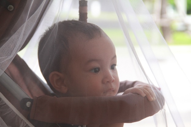 Quick and cost-effective new weapons are needed to fight malaria
