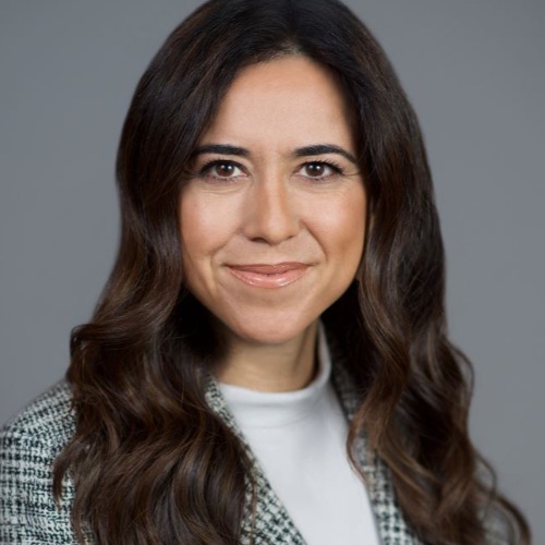 H.E. Lana Nussibeh